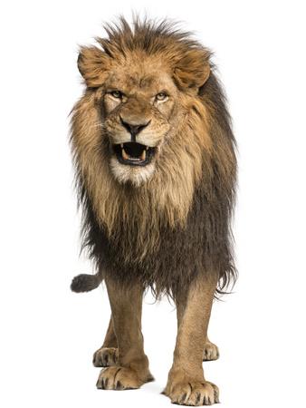 Photographic Print, , small