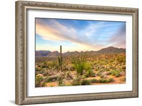Sonoran Desert-Anton Foltin-Framed Photographic Print