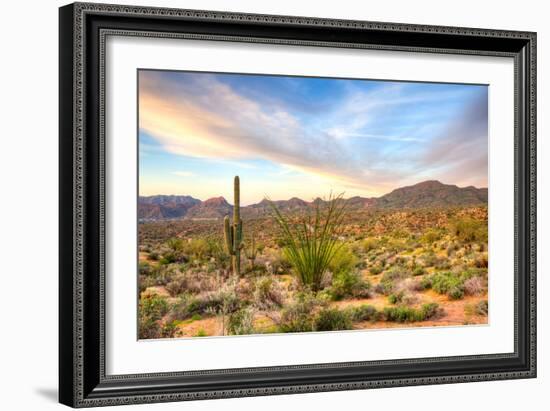 Sonoran Desert-Anton Foltin-Framed Photographic Print