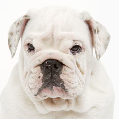 Photographic Print, , small