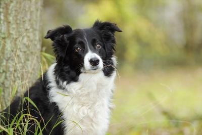 Photographic Print, , small