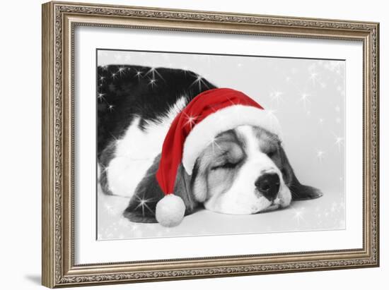 Beagle Dog Puppy Asleep Wearing a Christmas Hat-null-Framed Photographic Print