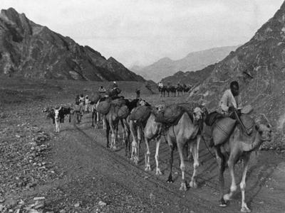 Photographic Print, , small