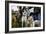 Dogs at Dog Show-Tim Kahane-Framed Photographic Print