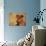 Miniature Pinscher Portrait-Adriano Bacchella-Photographic Print displayed on a wall