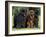 Domestic Dogs, Three Newfoundland Dogs Standing Together-Adriano Bacchella-Framed Photographic Print