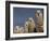 Alpacas, Andes, Ecuador-Pete Oxford-Framed Photographic Print