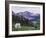 Mountain Goat Adult with Summer Coat, Hidden Lake, Glacier National Park, Montana, Usa, July 2007-Rolf Nussbaumer-Framed Photographic Print