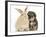 Yorkipoo Pup, 6 Weeks Old, with Sandy Rabbit-Mark Taylor-Framed Photographic Print