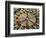 A Makeshift Peace Sign of Flowers Lies on Top John Lennon's Strawberry Fields Memorial-null-Framed Photographic Print