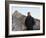 U.S. President Barack Obama Tours the Great Wall in Badaling, China-null-Framed Photographic Print