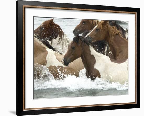 Pony Swim-Scott Neville-Framed Photographic Print