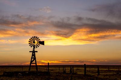 Photographic Print, , small