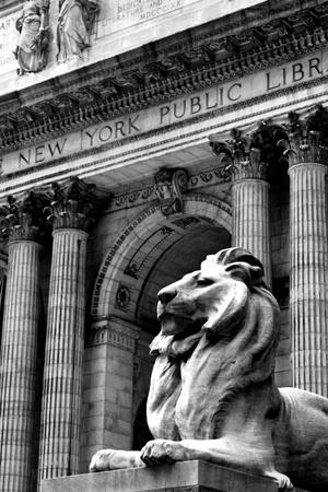 Photographic Print, , small