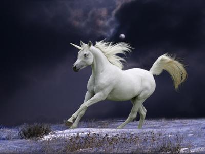 Photographic Print, , small