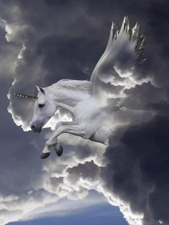 Photographic Print, , small