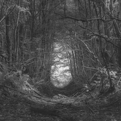 Photographic Print, , small