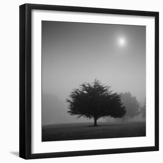 Judge-Moises Levy-Framed Photographic Print