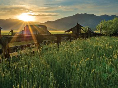 Photographic Print, , small