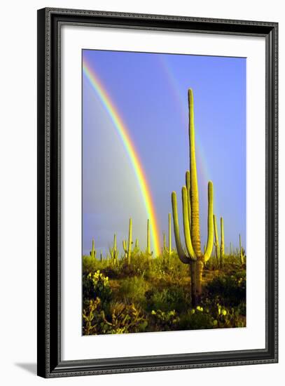 Saguaro Rainbow II-Douglas Taylor-Framed Photographic Print