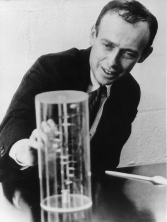 Photographic Print, , small