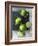 Limes-Jan-peter Westermann-Framed Photographic Print