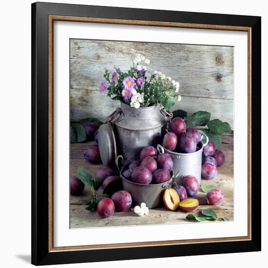 Still Life with Fresh Plums in and in Front of Pots & Pans-null-Framed Photographic Print