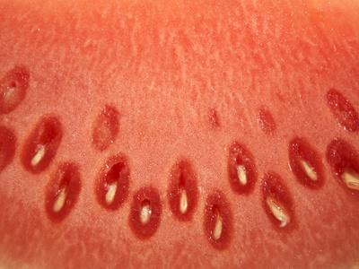 Photographic Print, , small