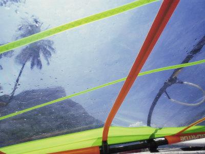 Photographic Print, , small