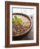 Wholegrain Rice in a Terracotta Bowl-Malgorzata Stepien-Framed Photographic Print