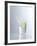Water Splashing Out of a Glass-Karl Newedel-Framed Photographic Print