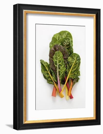 Rainbow Chard-Herbert Lehmann-Framed Photographic Print