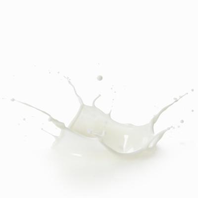 Photographic Print, , small