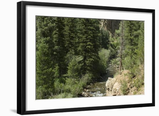 Rio Del Pueblo in the Sangre De Cristo Mountains, New Mexico-null-Framed Photographic Print