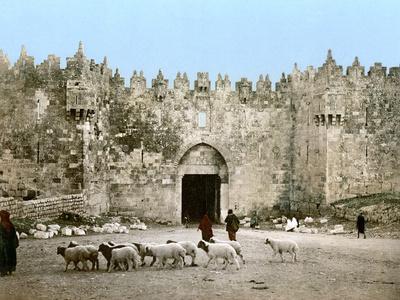 Photographic Print, , small