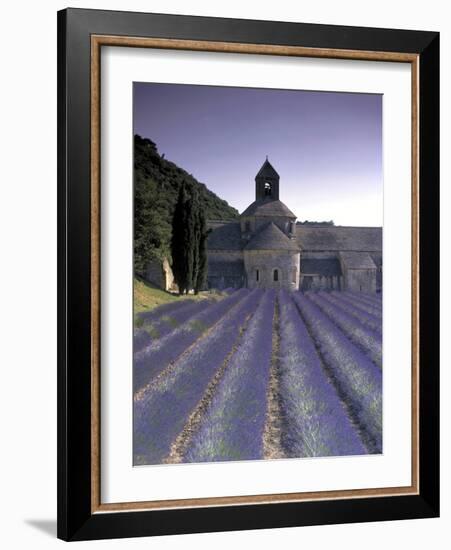 Abbey De Senanque, Provence, France-Marcel Malherbe-Framed Photographic Print