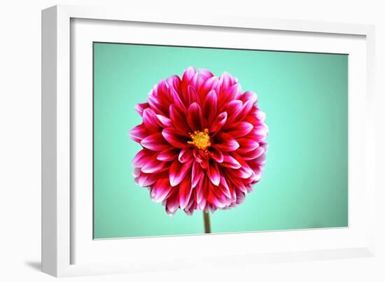 Zenia-Gail Peck-Framed Photographic Print