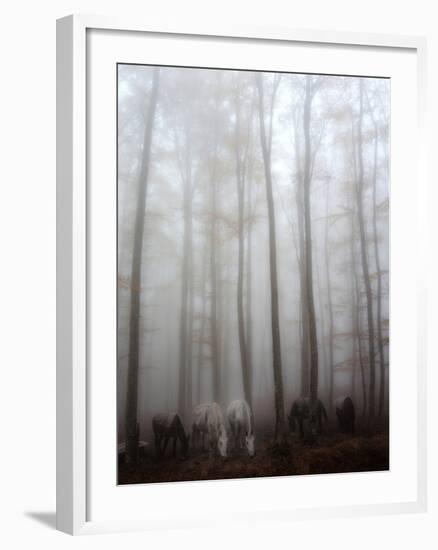 Fog-Francesco Martini-Framed Photographic Print