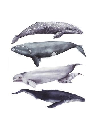 Premium Giclee Print, , small
