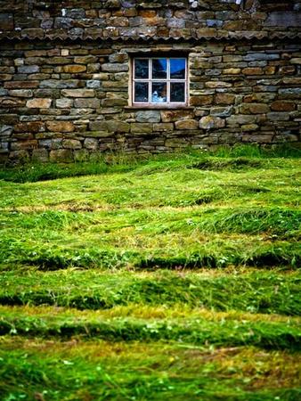 Premium Photographic Print, , small