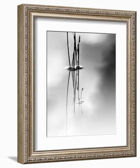 Silence-Ursula Abresch-Framed Photographic Print