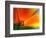 Summer-Ursula Abresch-Framed Photographic Print