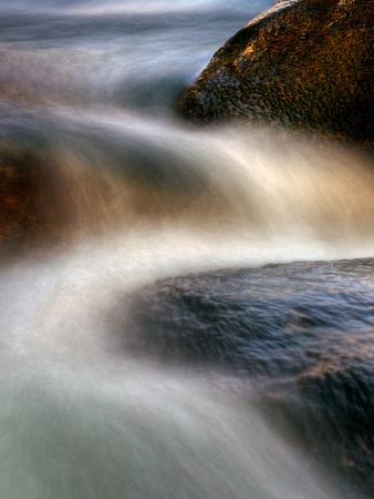 Premium Photographic Print, , small
