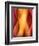 Woman-Ursula Abresch-Framed Photographic Print