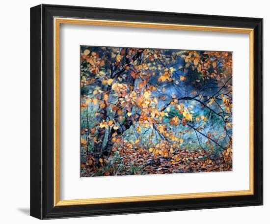 Yellow Heart-Ursula Abresch-Framed Photographic Print