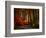 Colorful Way-Philippe Sainte-Laudy-Framed Photographic Print