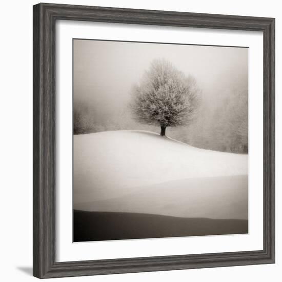 Winter Degradee-SC-Framed Photographic Print