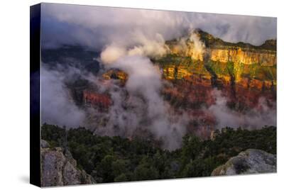 Stretched Canvas Print, , small