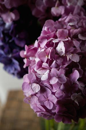 Premium Photographic Print, , small
