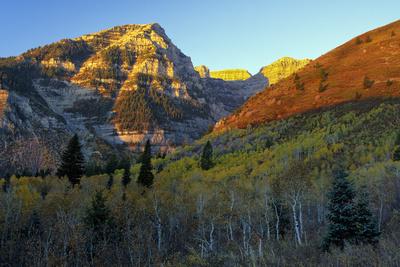 Photographic Print, , small